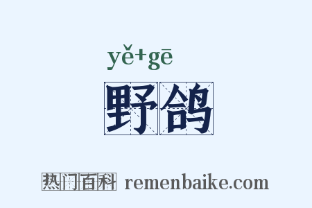 野鸽是什么意思的图片